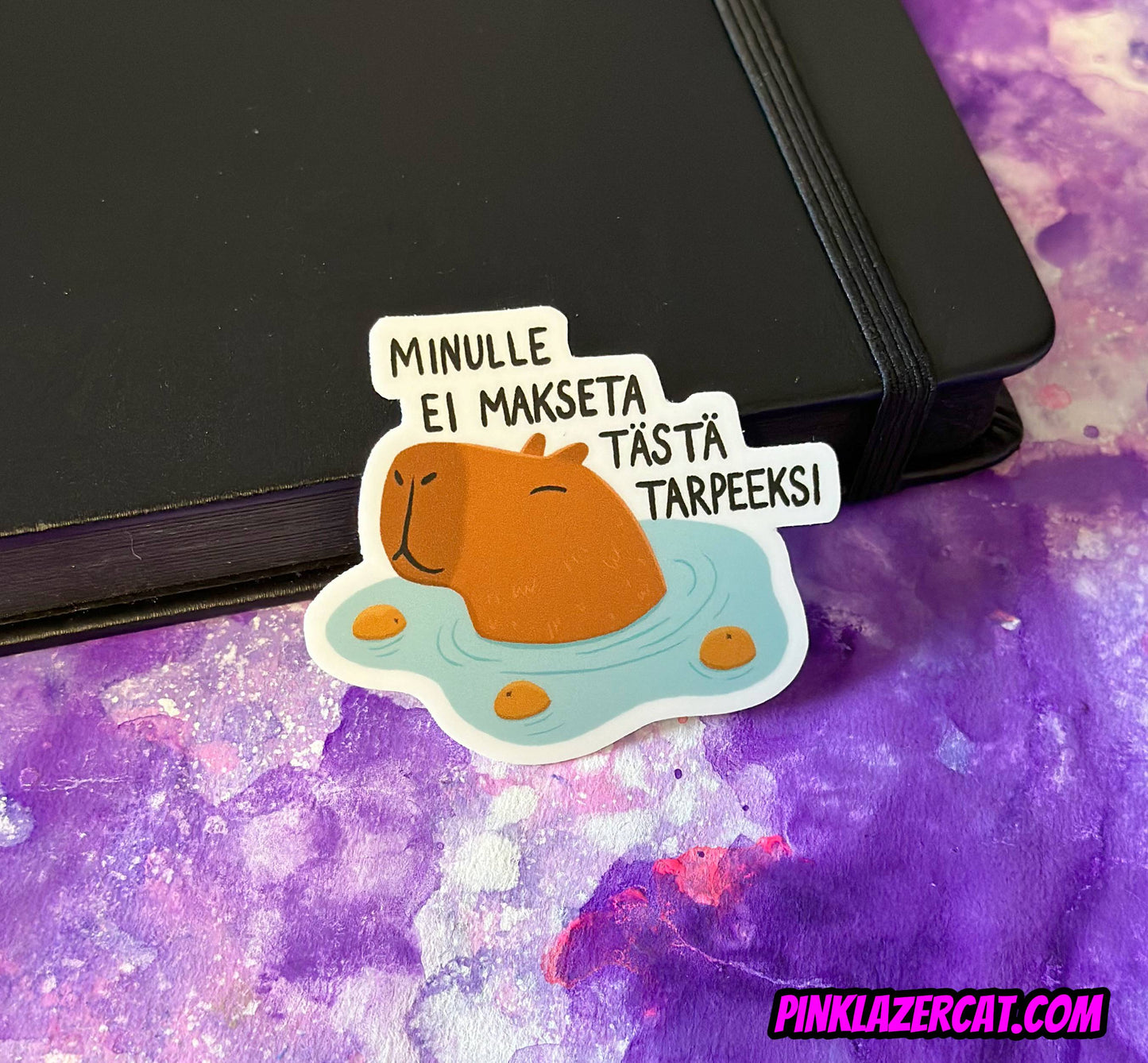 Minulle ei makseta tästä tarpeeksi - Säänkestävä tarra