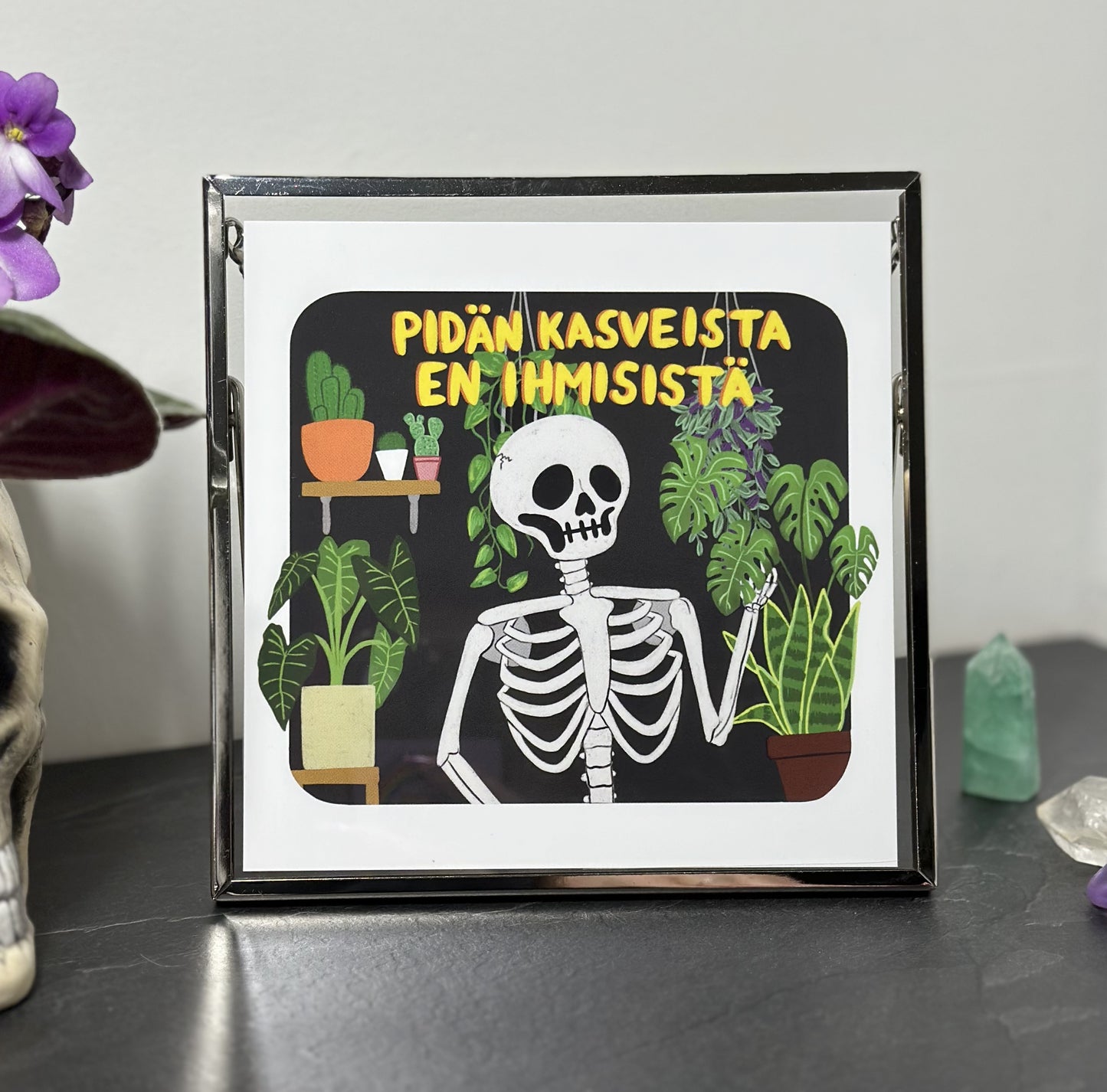 "Pidän kasveista, en ihmisistä" - Sisustuskuva