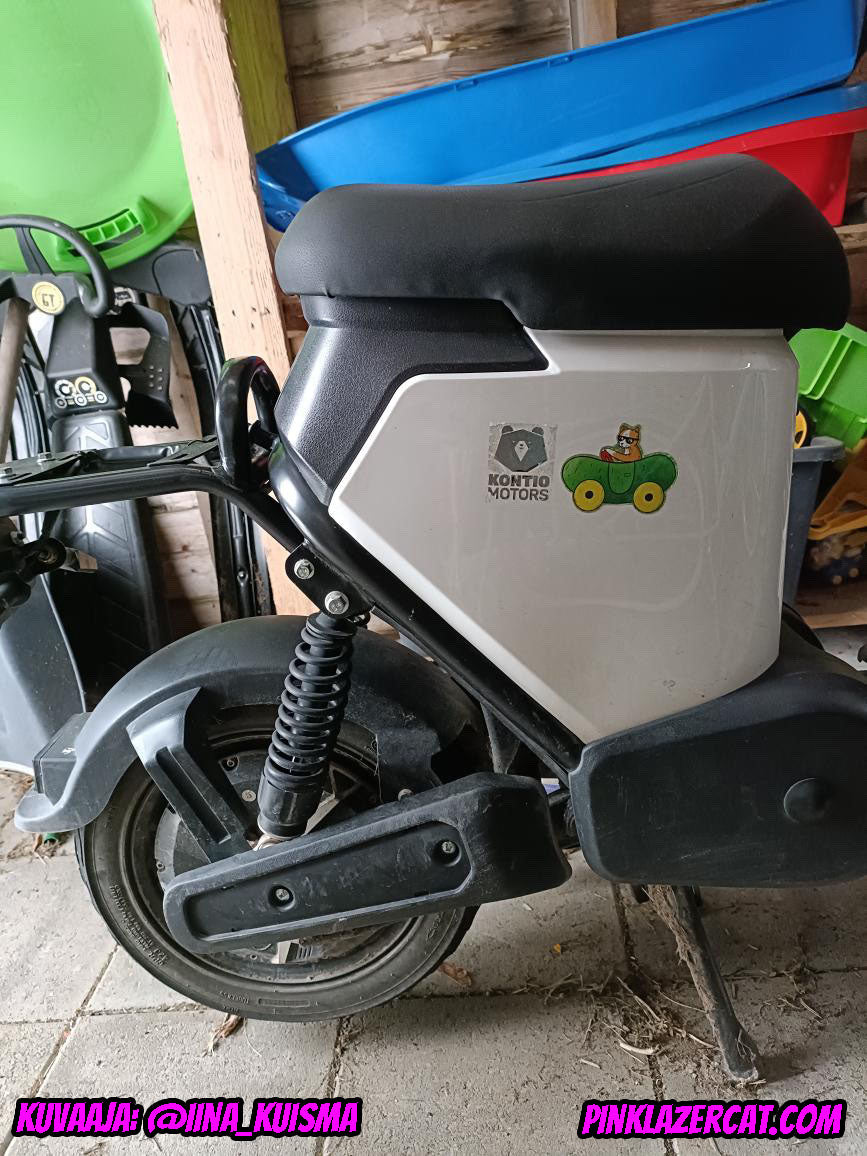 Kissa kurkkuautossa tarra
